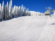 Piste intermédiaire Exhibition