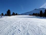 Piste facile Schwarzhorn 2