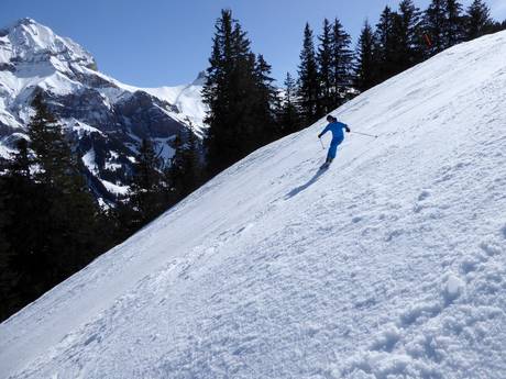Domaines skiables pour skieurs confirmés et freeriders Simmental (vallée de la Simme) – Skieurs confirmés, freeriders Adelboden/Lenk – Chuenisbärgli/Silleren/Hahnenmoos/Metsch