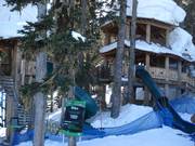 Tree Forts - cabane dans les arbres avec toboggans pour enfants