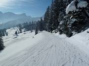 Piste de liaison du secteur skiable Bürserberg vers Brand