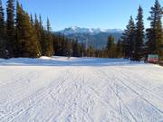 Piste facile Home Run