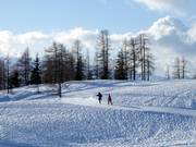 Piste de ski de fond sur le Tauplitzalm
