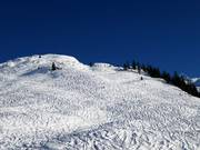 Itinéraire à ski Schäferhütte