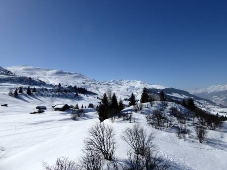 Alpes lépontines: Taille des domaines skiables – Taille Obersaxen/Mundaun/Val Lumnezia