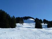 Descente Vordersuttis