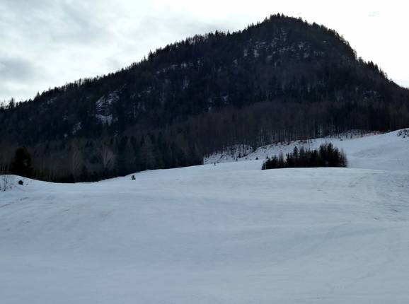 Vue sur la piste de ski au Lärchenhof
