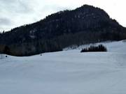 Vue sur la piste de ski au Lärchenhof