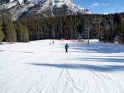 Piste facile au télésiège Cascade
