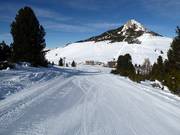 Piste Via del Lupo/Wolfspfad