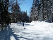 Piste de liaison Kirchenlift-Almwiesenlift