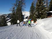 Descente familiale Brandlalm