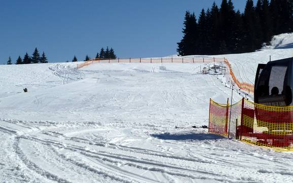 Domaines skiables pour les débutants dans la région touristique d'Alpsee-Grünten – Débutants Ofterschwang/Gunzesried – Ofterschwanger Horn