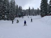 Piste facile au télésiège Explorer