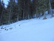 Protection efficace des zones forestières