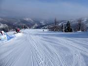 Piste facile Sielska