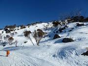 Pentes de freeride et de poudreuse dans la partie supérieure de Thredbo