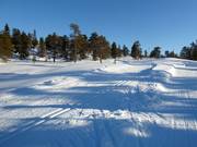 Piste de ski de fond à Lindvallen (Sälen)