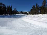 Large et facile piste dans le domaine skiable de Ruka