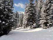 Descente vers la vallée Hattey jusqu'à Verbier