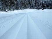 Trace de ski de fond parfaite