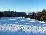 Descente au téléski double Predigtstuhl I