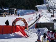 Marmotta - Tapis roulant/Moving Carpet