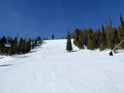 Descente Take a Bough