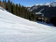 Piste damée dans le domaine skiable Drei Zinnen Dolomiten