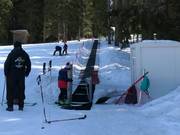 #12 Malina - Tapis roulant/Moving Carpet