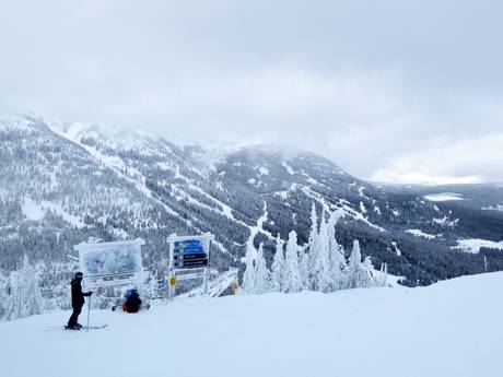 Kootenay Boundary: Évaluations des domaines skiables – Évaluation Red Mountain Resort – Rossland