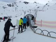 Tahi - Tapis roulant/Moving Carpet recouvert d’une galerie