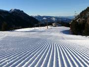 Piste parfaite à Latemar