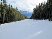 Piste Waldschneisen Eye Opener Connector