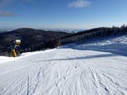 Piste familiale de difficulté moyenne n° 7