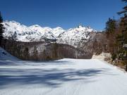 Piste Zadnji Vogel n° 10