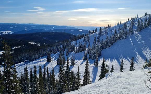 Le plus haut domaine skiable dans le district régional de North Okanagan – domaine skiable Silver Star