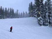 Domaine skiable pour la pratique du ski nocturne Brighton