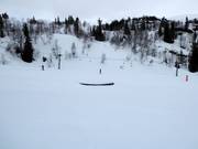 Bon plan pour les enfants : 