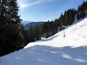 Descente jusqu'à Bolsterlang