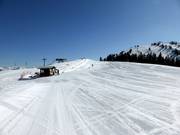 Téléski d'entraînement au Brandstadl à Scheffau