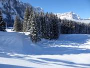 Piste de ski de fond en altitude au Gerschnialp