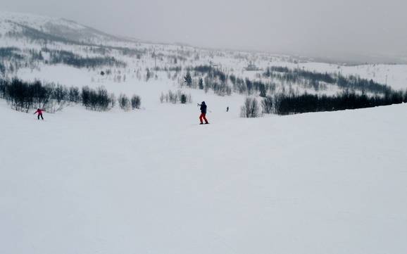 Domaines skiables pour les débutants dans la vallée de Valdres – Débutants Beitostølen