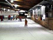 Seillift Bottrop - Télécorde/remonte-pente à câbles bas