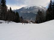 Descente vallée Jorland
