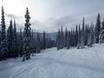 Diversité des pistes Chaîne de Selkirk – Diversité des pistes Whitewater – Nelson