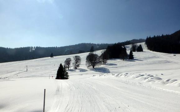 Waldshut: Taille des domaines skiables – Taille Menzenschwand (St. Blasien) – Spießhorn