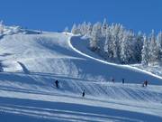 Terrain vallonné au spacejet 3