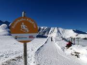 Bon plan pour les enfants : 