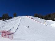 Piste noire au téléphérique Carosello 3000